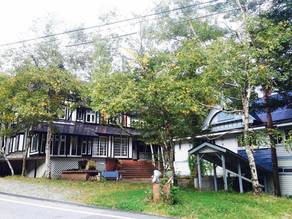 Hotel Lady Diana & St. Georges Hakuba Kültér fotó